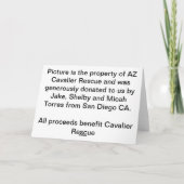 Unbekümmerte Geburtstags-Wünsche Karte (Rückseite)