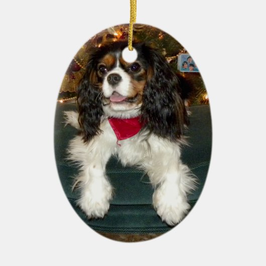 Unbekümmerte Königcharles Keramik Ornament (Vorne)