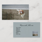 Unbekümmerte Königcharles Spaniel Breede Visitenkarte (Vorne/Hinten)