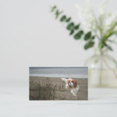 Unbekümmerte Königcharles Spaniel Breede Visitenkarte (Stehend Vorderseite)