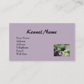 Unbekümmerte Königcharles Spaniel Breede Visitenkarte (Rückseite)