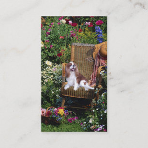 Unbekümmerte Königcharles Spaniel BreederBusines Visitenkarte