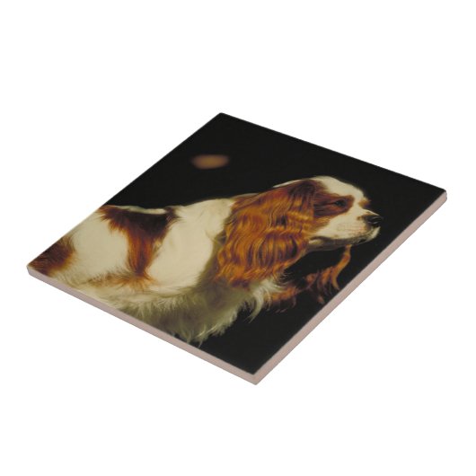 Unbekümmerte Königcharles Spaniel-Fliese Fliese (Seite)