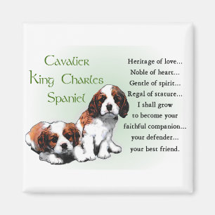 Unbekümmerte Königcharles Spaniel-Geschenke Magnet