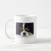 Unbekümmerte Königcharles Spaniel-Kaffeetasse Tri Kaffeetasse (Links)