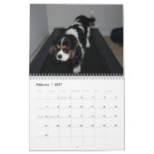 Unbekümmerte Königcharles Spaniel-Liebe! - Kalender (Feb 2027)
