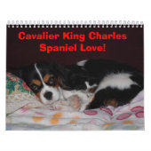 Unbekümmerte Königcharles Spaniel-Liebe! Kalender (Titelbild)