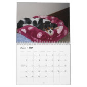 Unbekümmerte Königcharles Spaniel-Liebe! Kalender (Mär 2027)