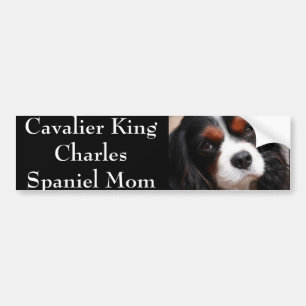Unbekümmerte Königcharles Spaniel-Mama Autoaufkleber