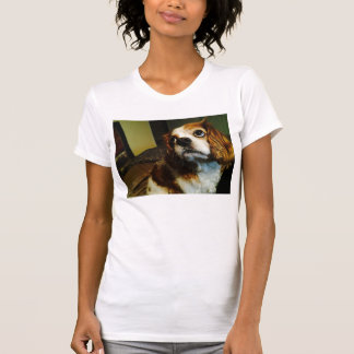 Unbekümmerte Königcharles Spaniel-T - Shirts