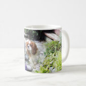 Unbekümmerte Königcharles Spaniel-Tasse Kaffeetasse (VorderseiteRechts)