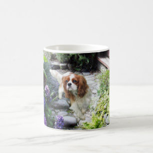 Unbekümmerte Königcharles Spaniel-Tasse Kaffeetasse