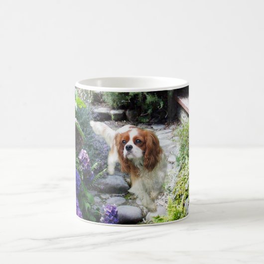 Unbekümmerte Königcharles Spaniel-Tasse Kaffeetasse (Mittel)