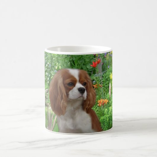 Unbekümmerte Königcharles Spaniel-Tasse Kaffeetasse (Mittel)