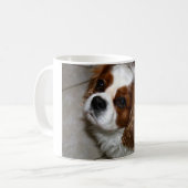 Unbekümmerte Königcharles Spaniel-Tasse Kaffeetasse (Vorderseite Links)