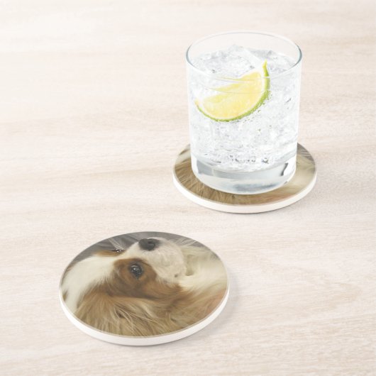 Unbekümmerte Königcharles Spaniel-Untersetzer Sandstein Untersetzer (Seite)