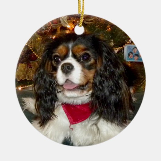 Unbekümmerte Königcharles Spaniel-Verzierung Keramik Ornament (Vorne)