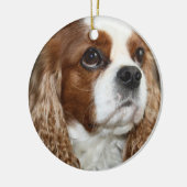 Unbekümmerte Königcharles Spaniel-Verzierung Keramikornament (Links)
