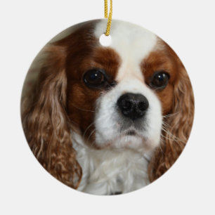Unbekümmerte Königcharles Spaniel-Verzierung Keramikornament
