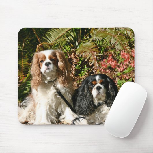 Unbekümmerte Spaniels Mousepad (Mit Mouse)