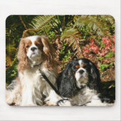 Unbekümmerte Spaniels Mousepad (Vorne)