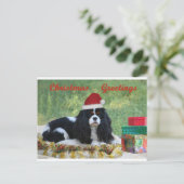 Unbekümmerte Weihnachtskarte Feiertagspostkarte (Stehend Vorderseite)