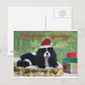 Unbekümmerte Weihnachtskarte Feiertagspostkarte (Vorne/Hinten)