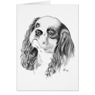 Unbekümmerter König Charles Drawing