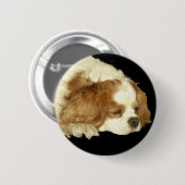 UNBEKÜMMERTER KÖNIG CHARLES SLEEPING BUTTON (Vorne & Hinten)