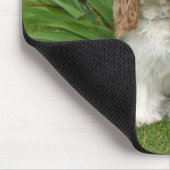 Unbekümmerter König Charles Spaniels im Mousepad (Ecke)