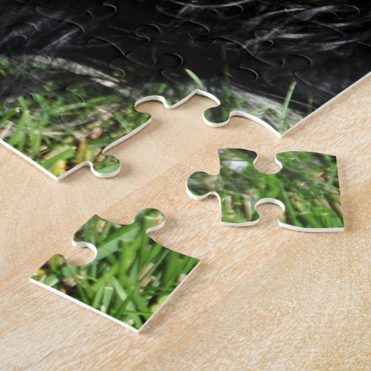 Unbekümmerter König Charles Tri Farbe Puzzle (Seite)