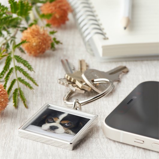 Unbekümmerter Königcharles Schlüsselanhänger (Seite)