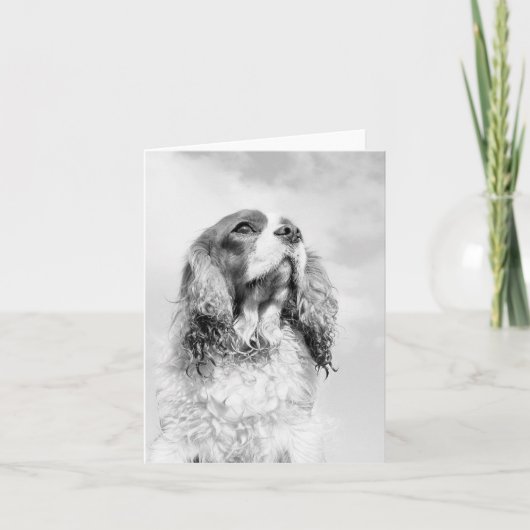 Unbekümmerter Königcharles Spaniel auf einem Karte (Vorderseite)