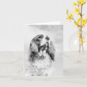Unbekümmerter Königcharles Spaniel auf einem Karte (Gelbe Blume)