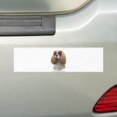 Unbekümmerter Königcharles Spaniel Autoaufkleber (Auf Auto)