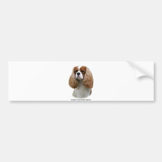 Unbekümmerter Königcharles Spaniel Autoaufkleber (Vorne)