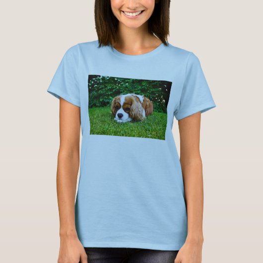 Unbekümmerter Königcharles Spaniel Blenheim im T-Shirt (Vorderseite)