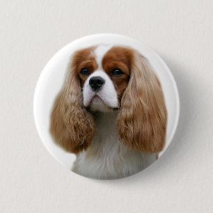 Unbekümmerter Königcharles Spaniel Button