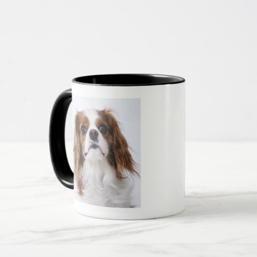 Unbekümmerter Königcharles Spaniel, der im Studio Tasse (Vorderseite Links)