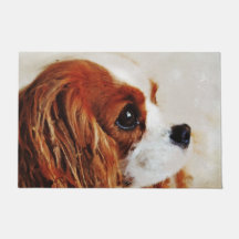 Unbekümmerter Königcharles Spaniel