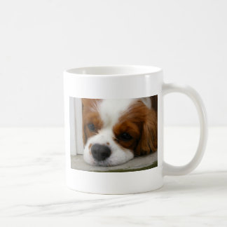 Unbekümmerter Königcharles Spaniel Kaffeetasse