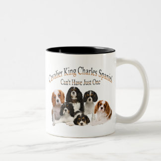Unbekümmerter Königcharles Spaniel kann gerade ein Zweifarbige Tasse