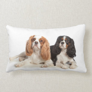 Unbekümmerter Königcharles Spaniel Lendenkissen