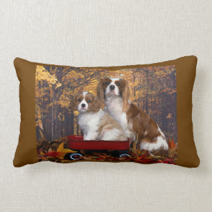Unbekümmerter Königcharles Spaniel Lendenkissen