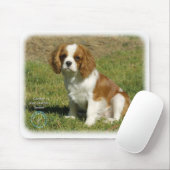 Unbekümmerter Königcharles Spaniel Mousepad (Mit Mouse)