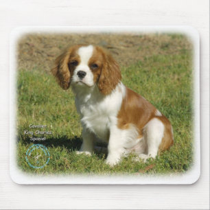 Unbekümmerter Königcharles Spaniel Mousepad
