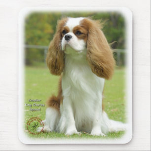 Unbekümmerter Königcharles Spaniel Mousepad
