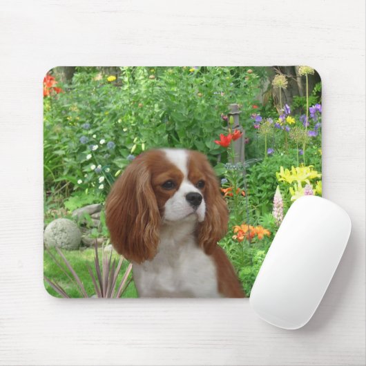 Unbekümmerter Königcharles Spaniel Mousepad (Mit Mouse)