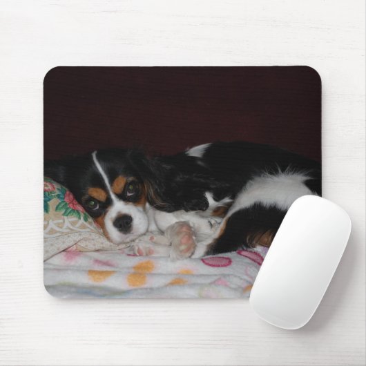 Unbekümmerter Königcharles Spaniel Mousepad (Mit Mouse)