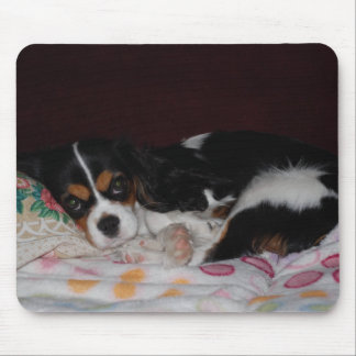 Unbekümmerter Königcharles Spaniel Mousepad